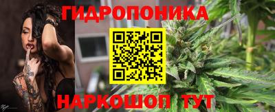 шишки Малгобек