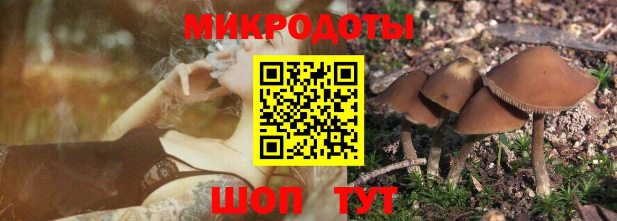 Галлюциногенные грибы Magic Shrooms Южно-Сахалинск